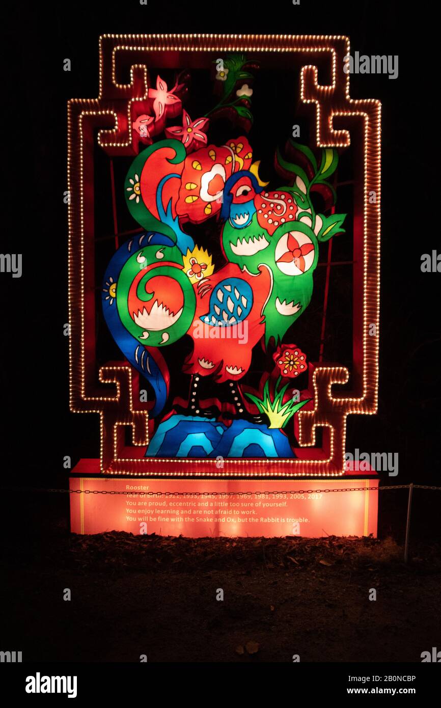 Charleston, SC - February 2 2020: Chinese year of the rooster from the Lights of Magnolia Plantation Stock Photo