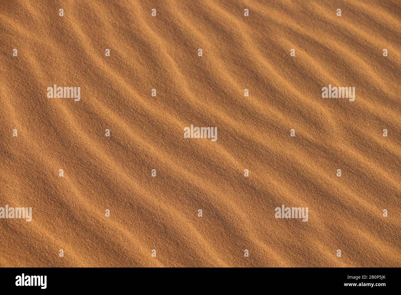 Sand Texture Background Of Desert Sand Dunes Beautiful Structures Of Sandy Dunes Sand With Wave From Wind In Desert Close Up Stock Photo Alamy