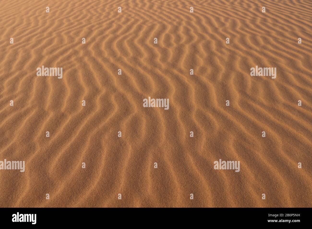 sand texture - background of desert sand dunes. Beautiful structures of sandy dunes. sand with wave from wind in desert - Close up Stock Photo