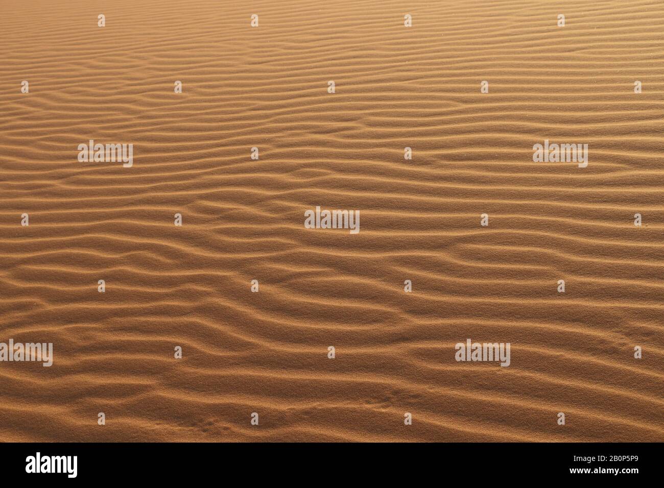 sand texture - background of desert sand dunes. Beautiful structures of sandy dunes. sand with wave from wind in desert - Close up Stock Photo