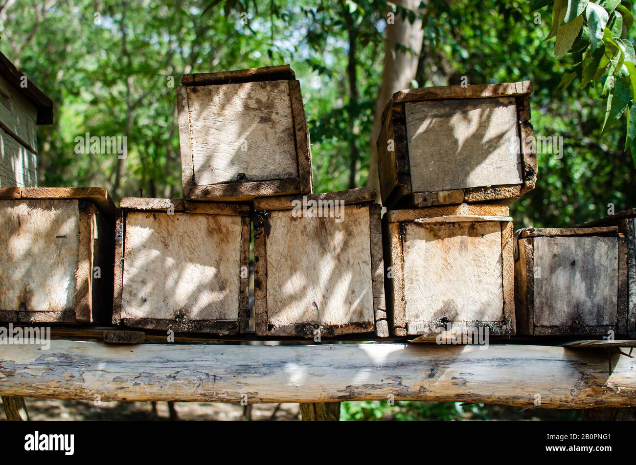 Bee hives in Trinidad, Cuba Stock Photo