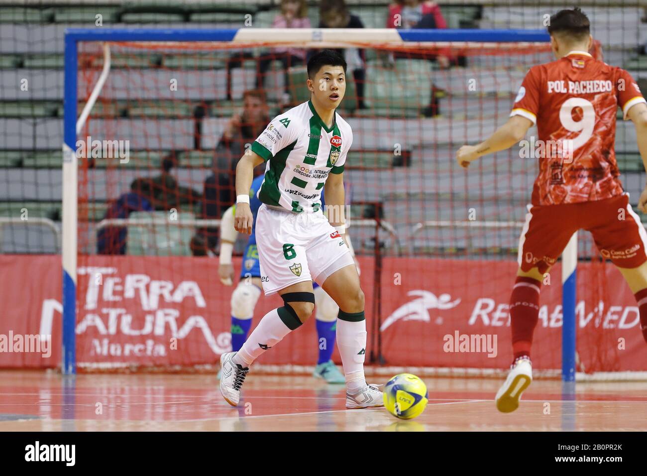 Murcia, Spain. 19th Feb, 2020. Kazuya Shimizu (Cordoba) Futsal : Spanish  