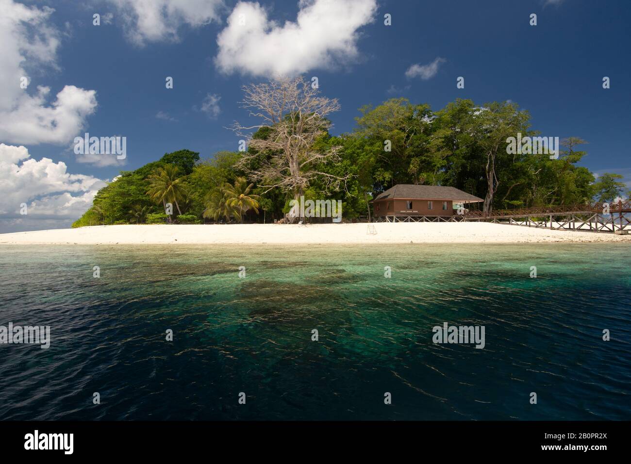 White sand beach of Sipadan Island, Sabah, Malaysia, Celebes Sea Stock Photo