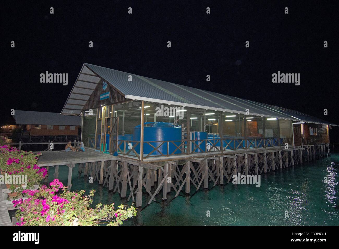 Aquaculture Reef Station of the Kapalai Dive Resort, Kapalai, Malaysia Stock Photo