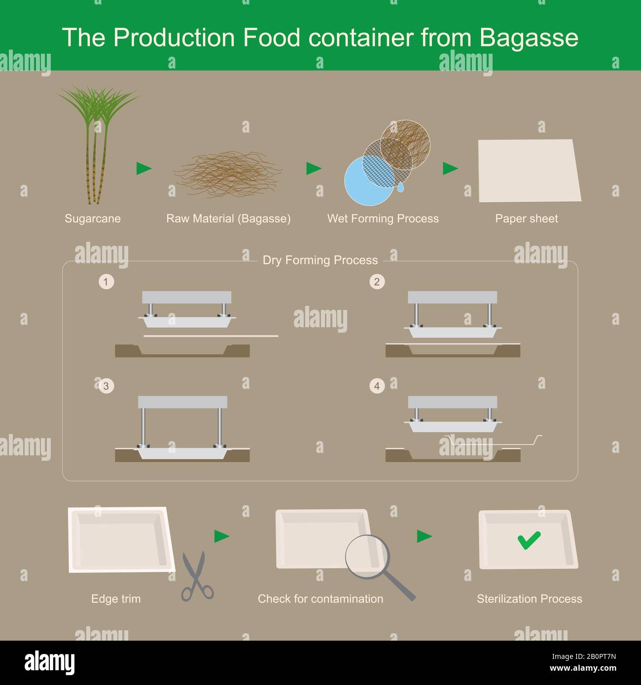 The Production Food container from Bagasse paper, it's make decomposed easily and reduce garbage problem. Stock Vector