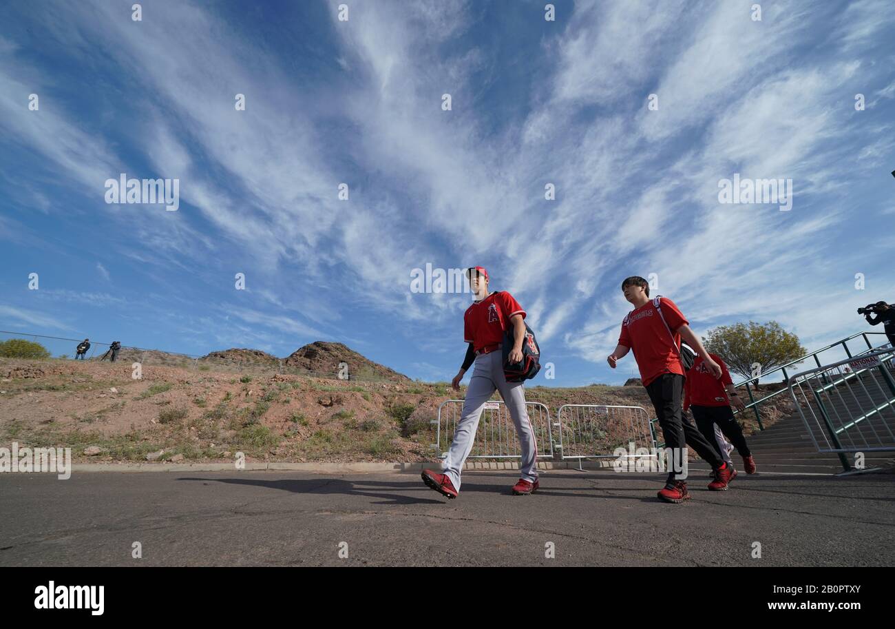 Ohtani elbow hi-res stock photography and images - Alamy