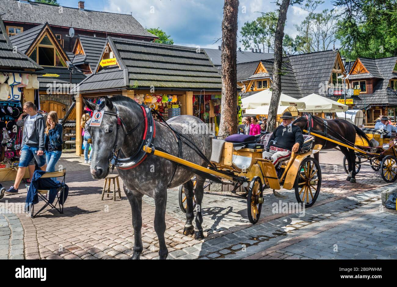 horse-drawn carriages for tourist joy rides at popular Krupówki Street in the Tatra Mountain resort of Zakopane, Lesser Poland, Poland Stock Photo