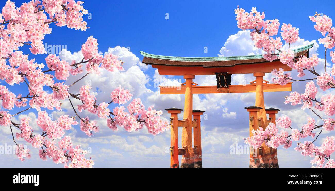 Branch of the blooming sakura with pink flowers and Floating Torii gate, Itsukushima  Shrine, Miyajima island, Hiroshima prefecture. Spring sakura blos Stock  Photo - Alamy