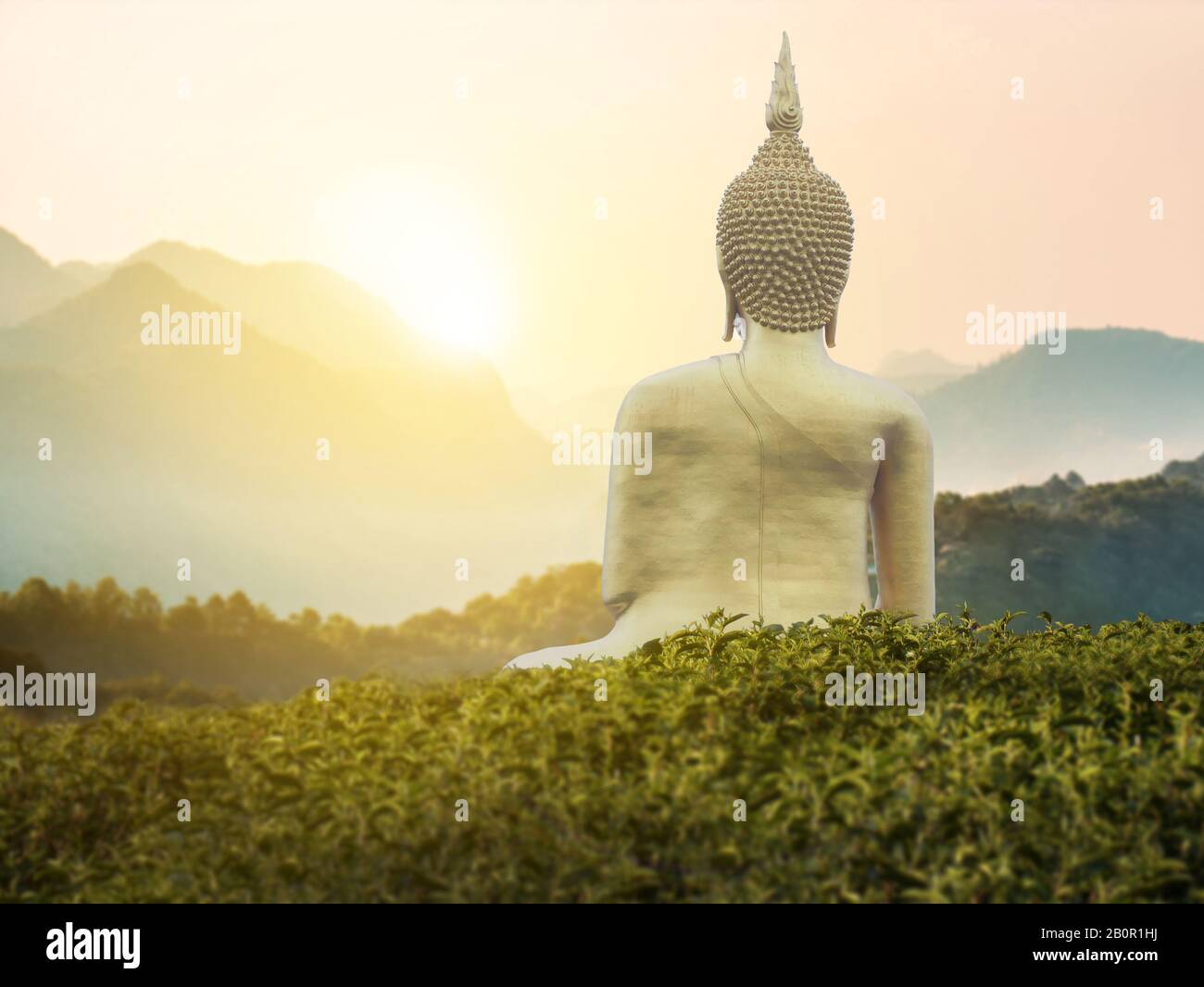 big great powerful Buddha statue in gold color in the middle of green park on the mountain with beautiful sunset or sunrise and wonderful nature scene Stock Photo