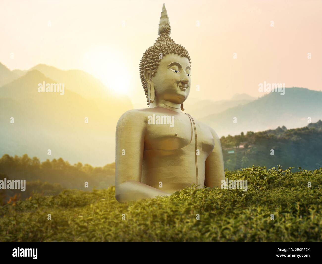 big great powerful Buddha statue in gold color in the middle of green park on the mountain with beautiful sunset or sunrise and wonderful nature scene Stock Photo
