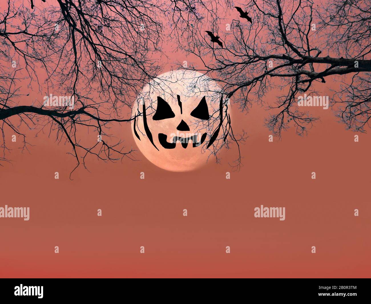 Halloween background. Spooky forest with silhouette dead trees and full moon on red sky. scary scene wallpaper with copy space for halloween backgroun Stock Photo
