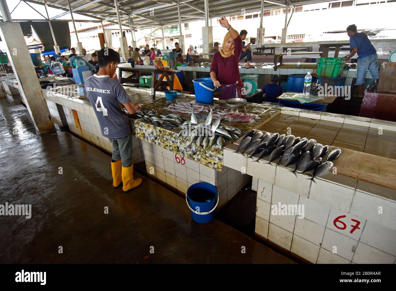 Kota Kinabalu Fish market stalls, Kota Kinabalu, Sabah, Borneo, Malaysia Stock Photo