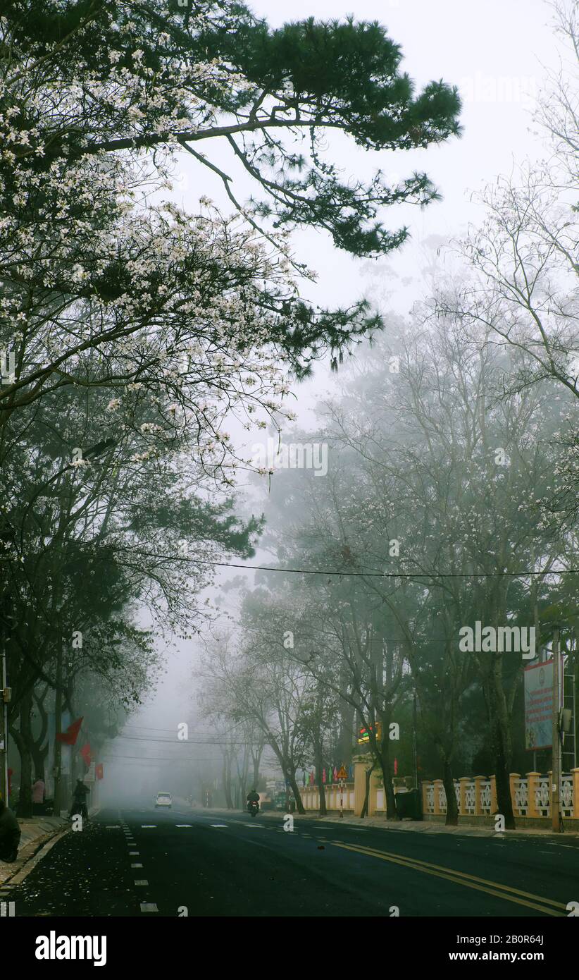 Fog city street hi-res stock photography and images - Alamy