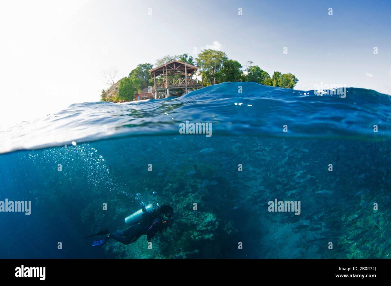 Scuba diver on a coral reef off Sipadan Island, Malaysia Stock Photo