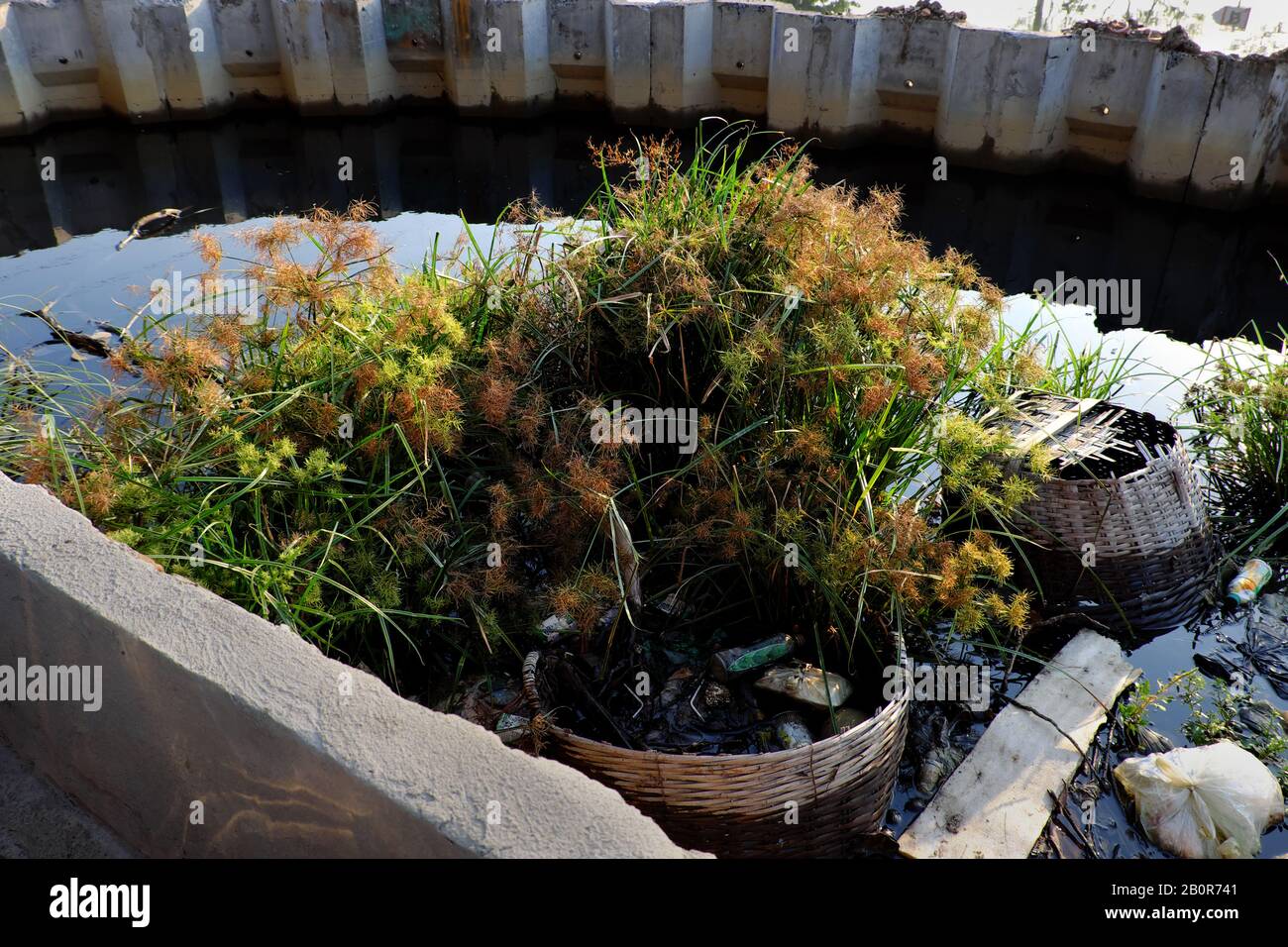 Pollution river from litter at Ho Chi Minh city, Viet Nam, many trash from plastic bag, bottle, packaging in water make dirty canal at morning Stock Photo