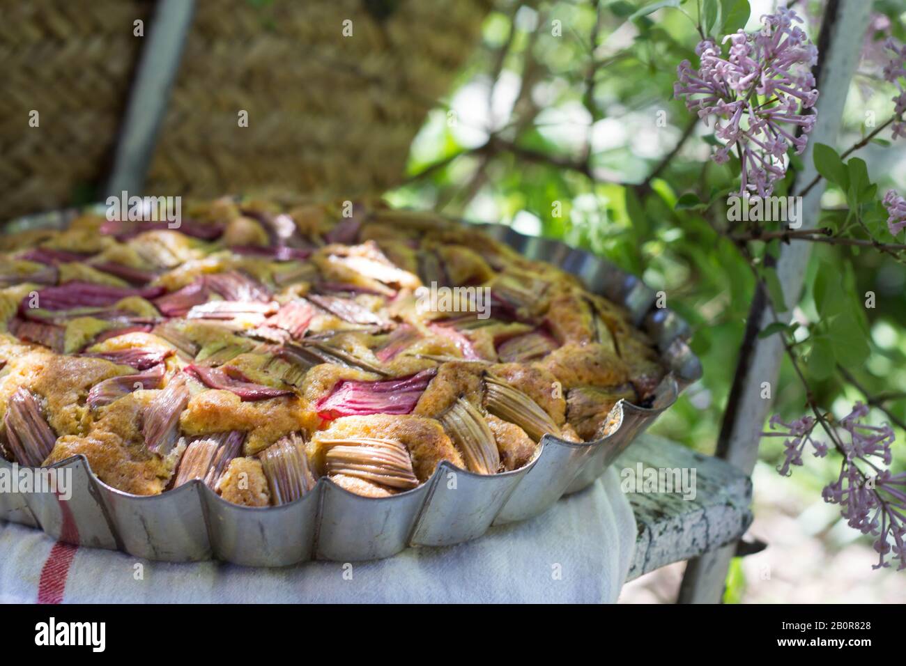 tasty fresh baked rustic rhubarb pie - picnic time Stock Photo