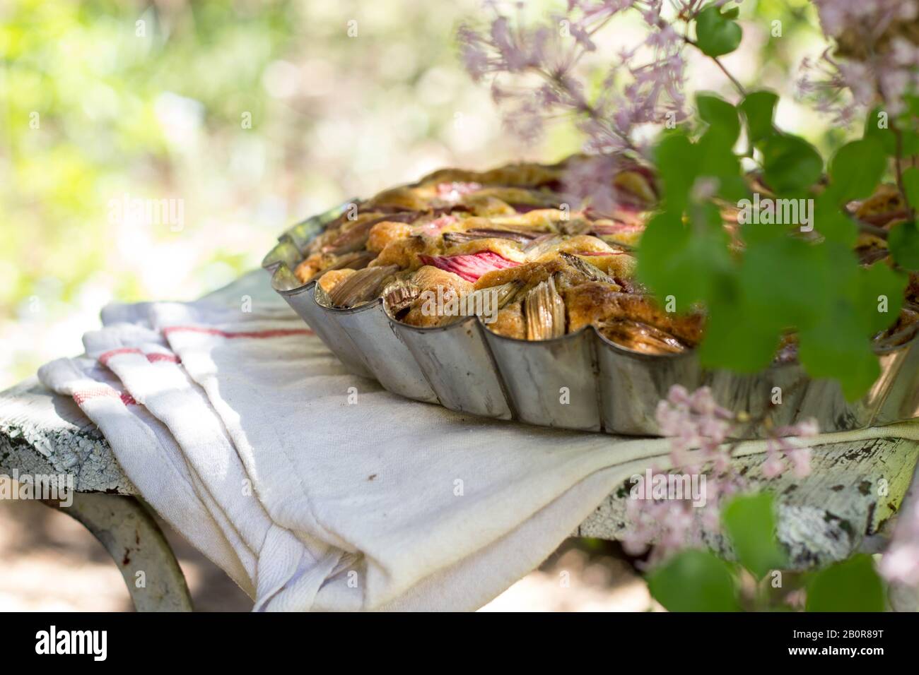 tasty fresh baked rustic rhubarb pie - picnic time Stock Photo