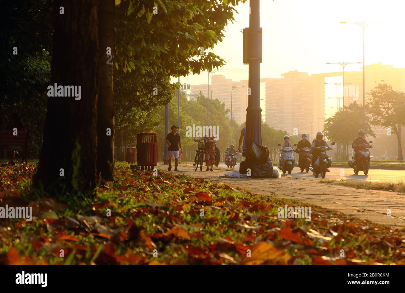 HO CHI MINH CITY, VIET NAM, Wonderful scene at early morning in park, with leaves from tree fall on grass field, people moving on street in  sunlight Stock Photo