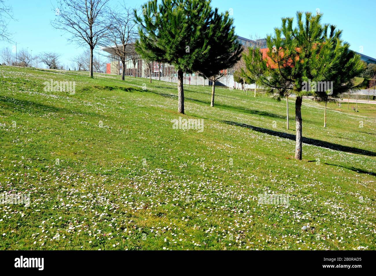 Nice park in autumn hi-res stock photography and images - Alamy