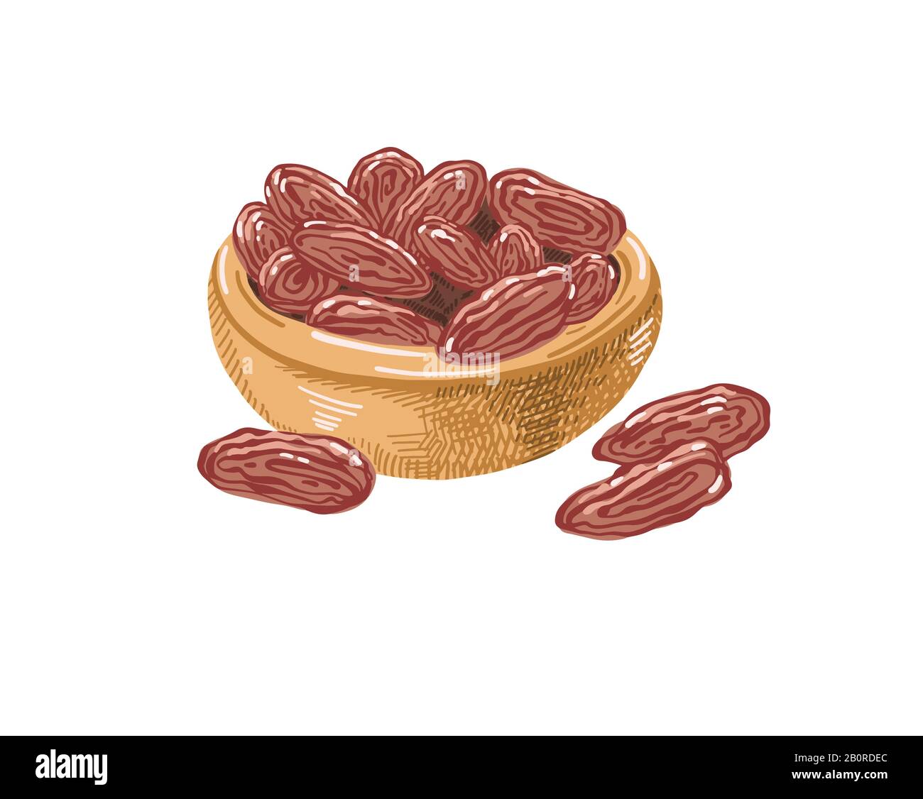 sketch drawing dates fruits in clay bowl, healthy food Stock Vector