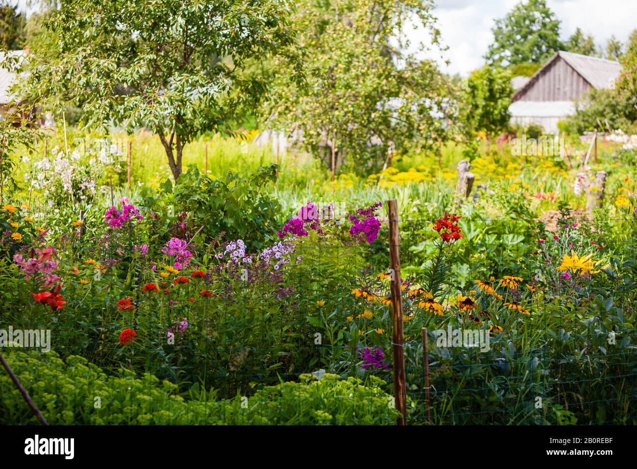 colorful flowers in the garden Stock Photo - Alamy