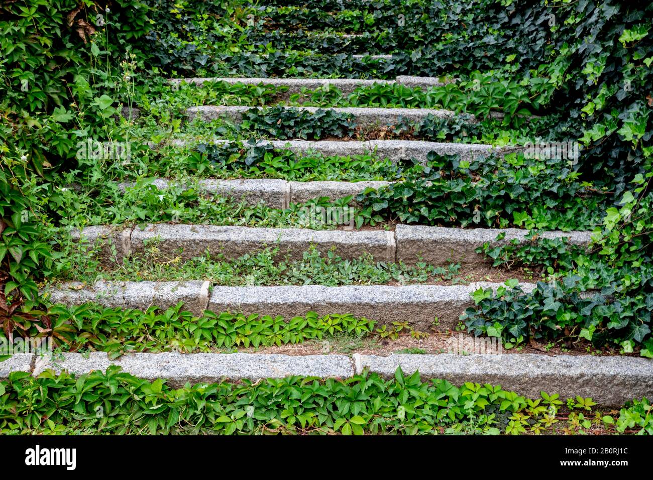 Stairs, overgrown, garden Campo del Moro, Madrid, Spain Stock Photo