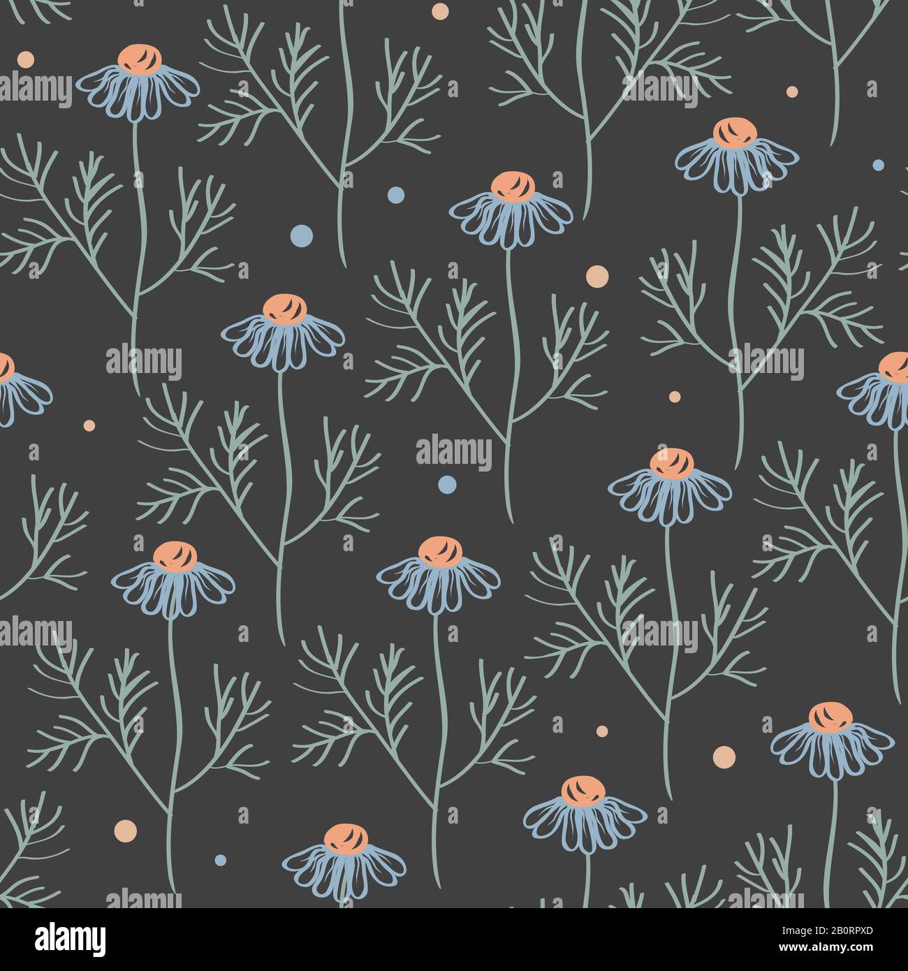 Vector seamless pattern with chamomile branches isolated on grey. Hand drawn botanical texture with meadow flowers. Stock Vector