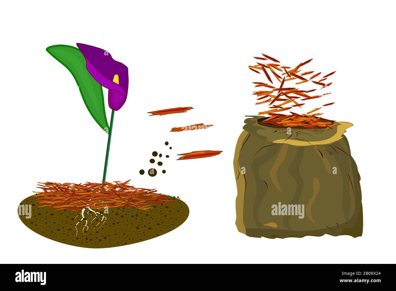 Mulch gardening concept with calla lilies, mulch and bag isolated on