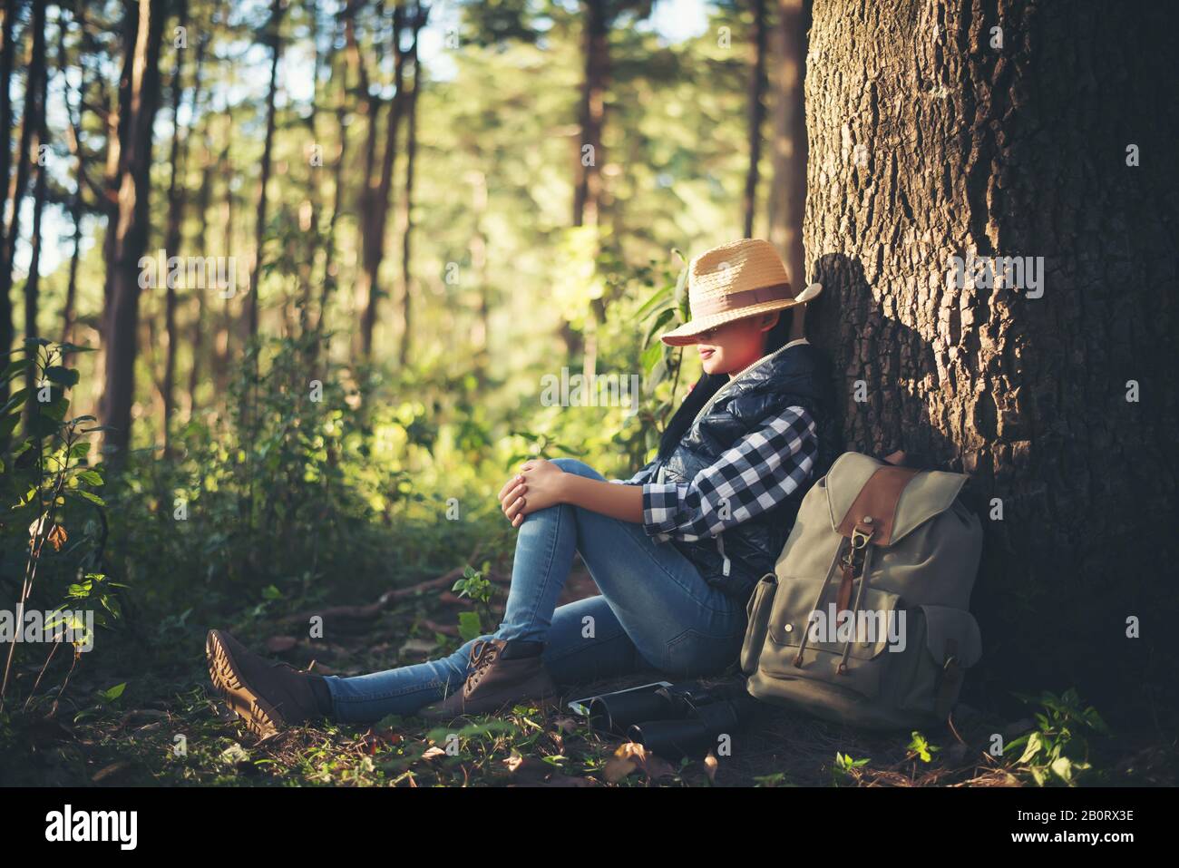 young woman Sleep under the tree Stock Photo Alamy