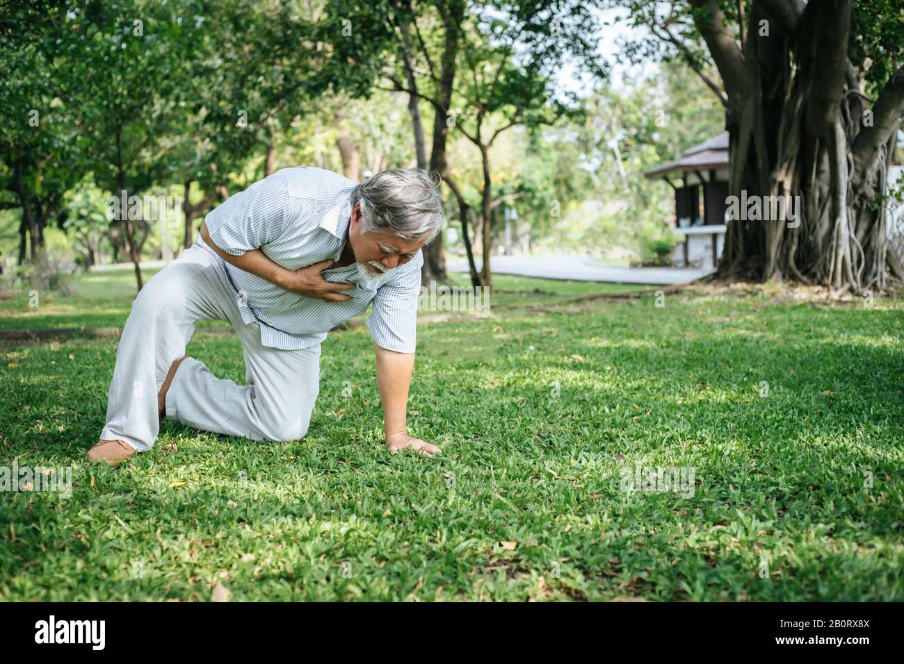 Old man having a chest pain Stock Photo Alamy