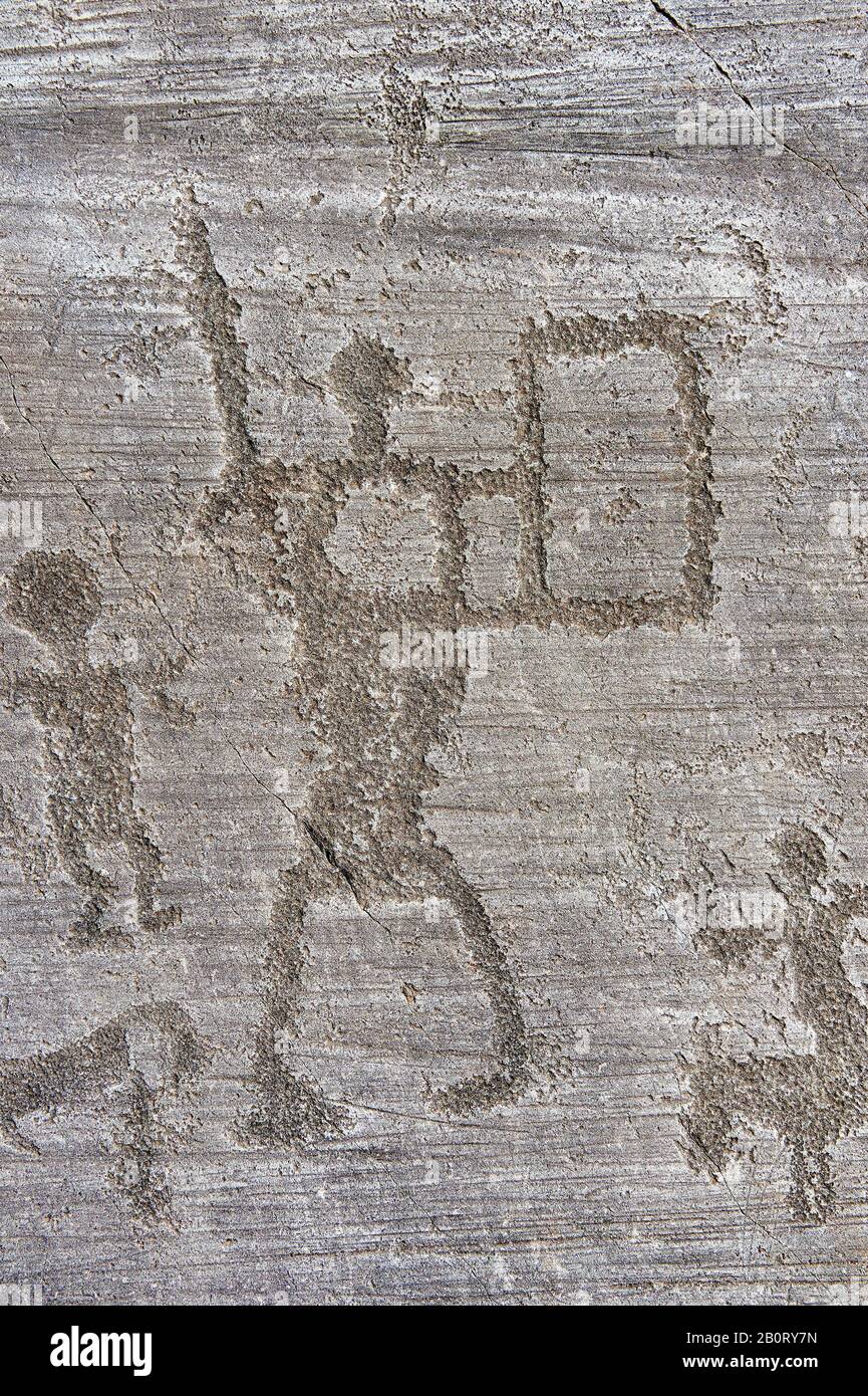 Petroglyph rock carving, of two warriors with a shield and a man riding a horse. Carved by the ancient Camunni Foppi di Nadro, Riserva Naturale Incis Stock Photo