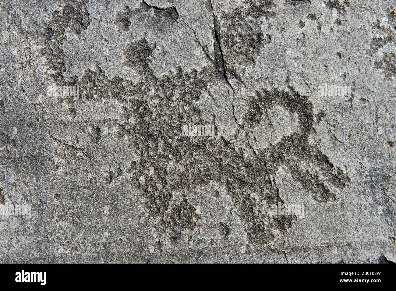 Petroglyph, rock carving, of a ceremony. Carved by the ancient Camunni people in the iron age between 1000-1200 BC. Rock no 24, Foppi di Nadro, Riserv Stock Photo