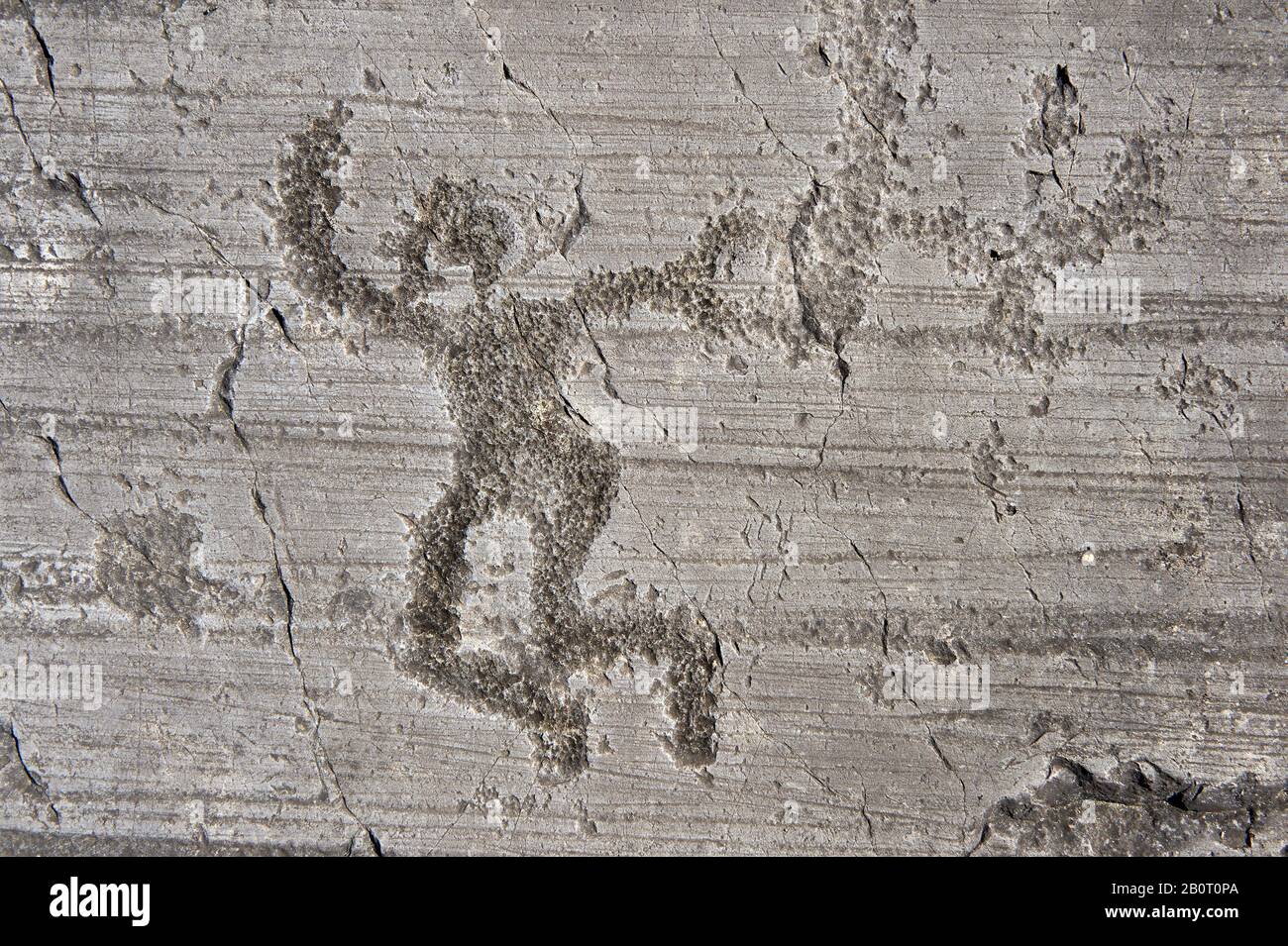 Petroglyph, rock carving, of a dancing warrior holding swords and shields. Carved by the ancient Camuni people in the iron age between 1000-1600 BC. R Stock Photo
