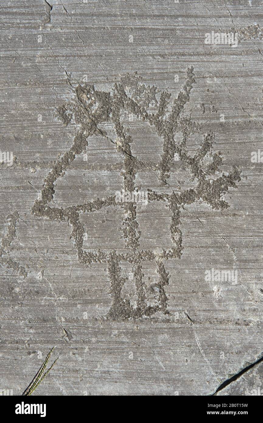 Petroglyph, rock carving, depicting high house built on poles . Carved by the ancient Camunni people in the iron age between 1000-1600 BC. Rock no 24, Stock Photo