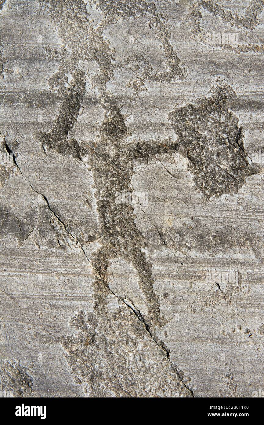 Petroglyph, rock carving, of a warrior with a sword and a square shiled. Carved by the ancient Camuni people in the iron age between 1000-1600 BC. Roc Stock Photo