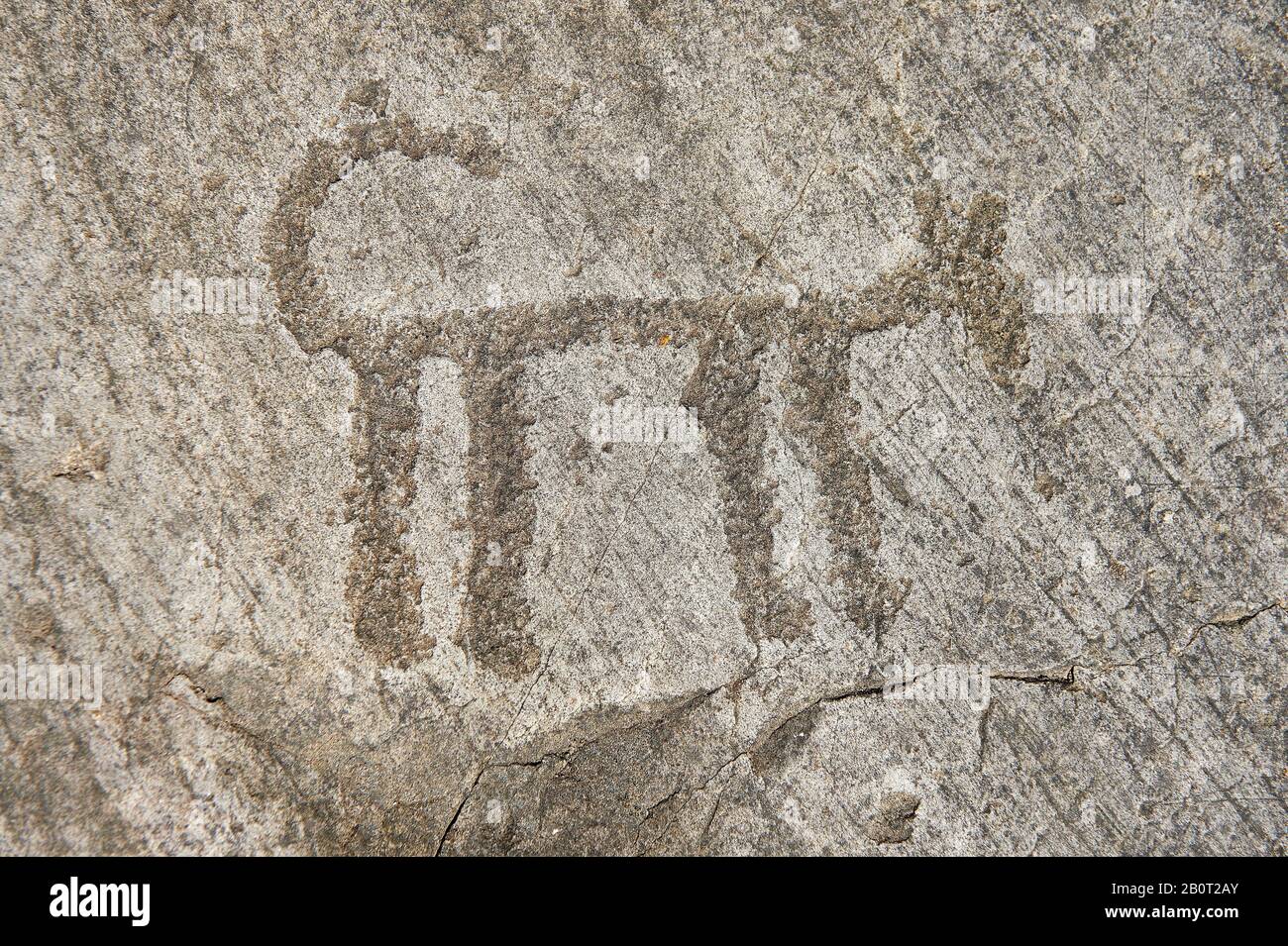 Petroglyph, rock carving, of a schematic dog. Carved by the ancient Camunni people in the copper age between 3200-2200 BC. Rock no 29, Foppi di Nadro, Stock Photo