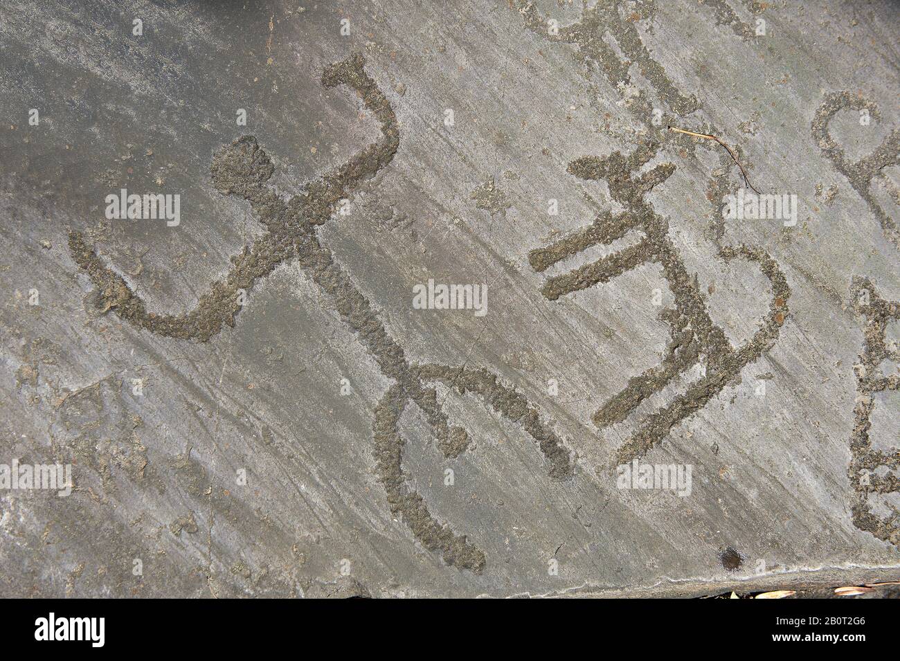 Petroglyph, rock carving, of a schematic dog and human figure. Carved by the ancient Camunni people in the copper age between 3200-2200 BC. Rock no 29 Stock Photo