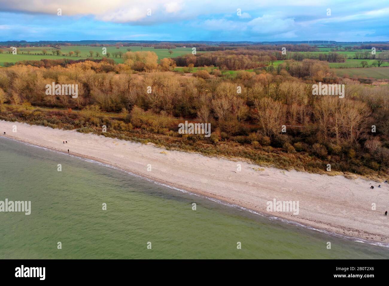 Baltic Sea coast between Priwall and Boltenhagen, aerial view, Germany, Mecklenburg-Western Pomerania, Barendorf Stock Photo