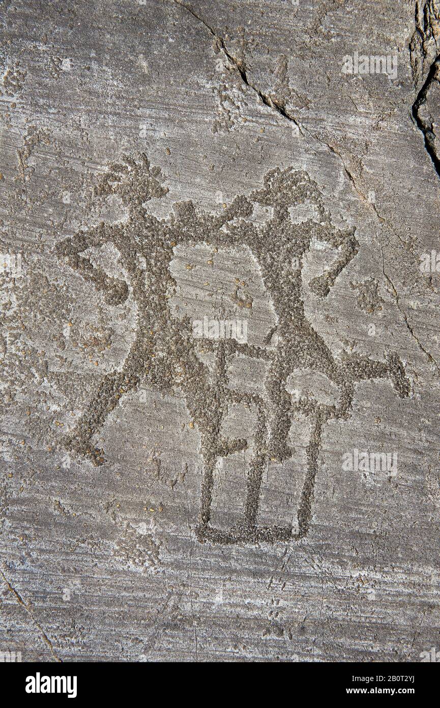 Petroglyph, rock carving, of two warriors boxing. Carved by the ancient Camunni people in the iron age between 1000-1200 BC. Rock no 6, Foppi di Nadro Stock Photo