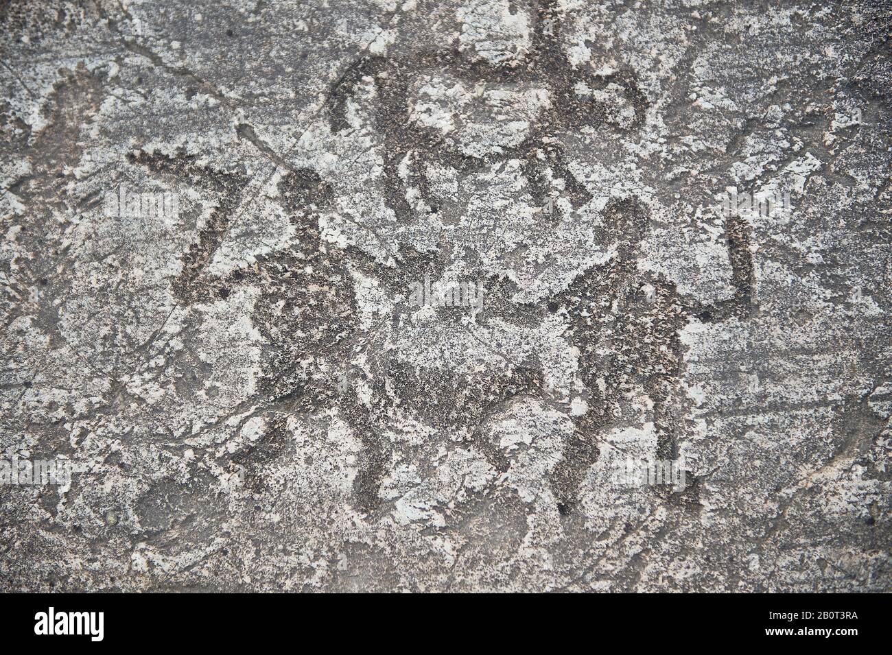 Prehistoric Petroglyph, rock carving, of two men fighting with swords and small shield carved by the Camunni people in the ,iddle to late iron age bet Stock Photo
