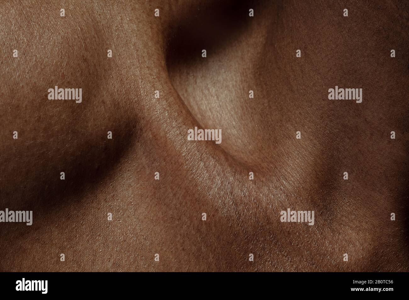 Collarbones. Detailed texture of human skin. Close up shot of young ...
