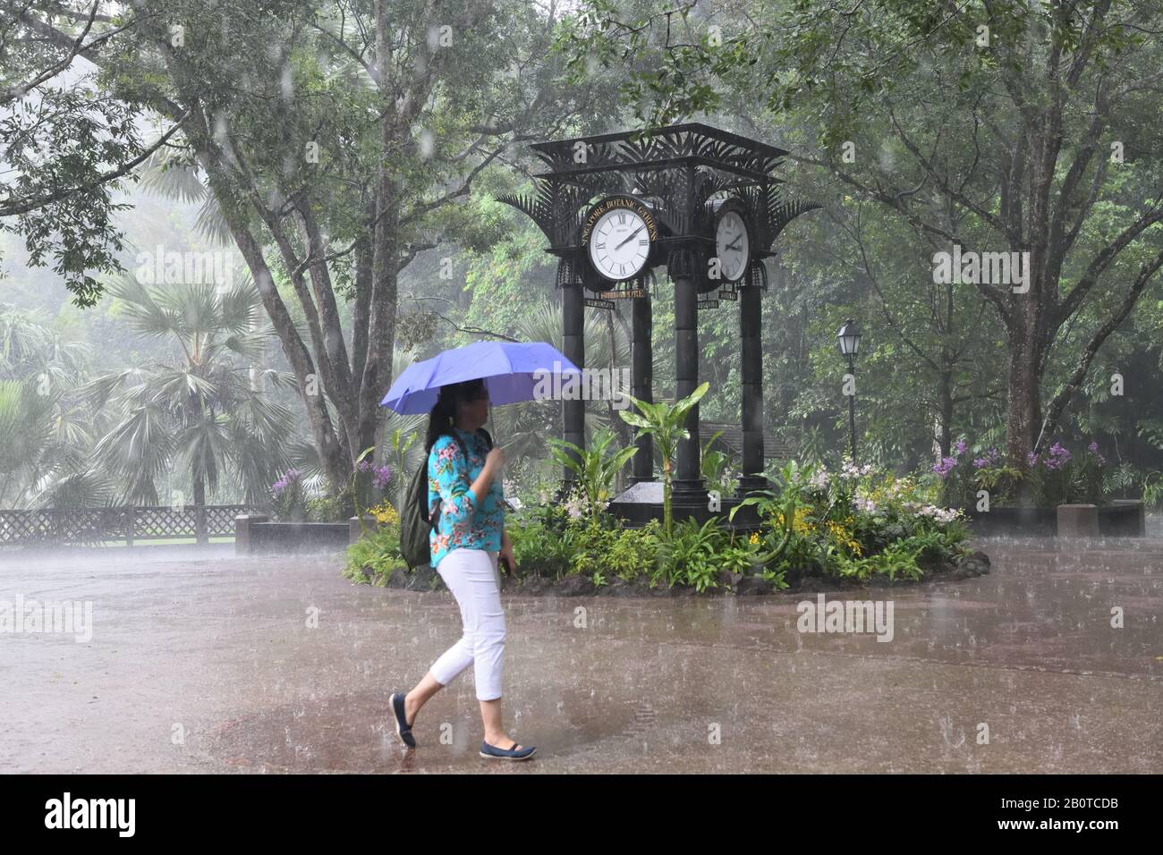 A young lady walking past the clock tower in torrential rain in the Botanic Gardens of Singapore, UNESCO World Heritage site, Asia Stock Photo