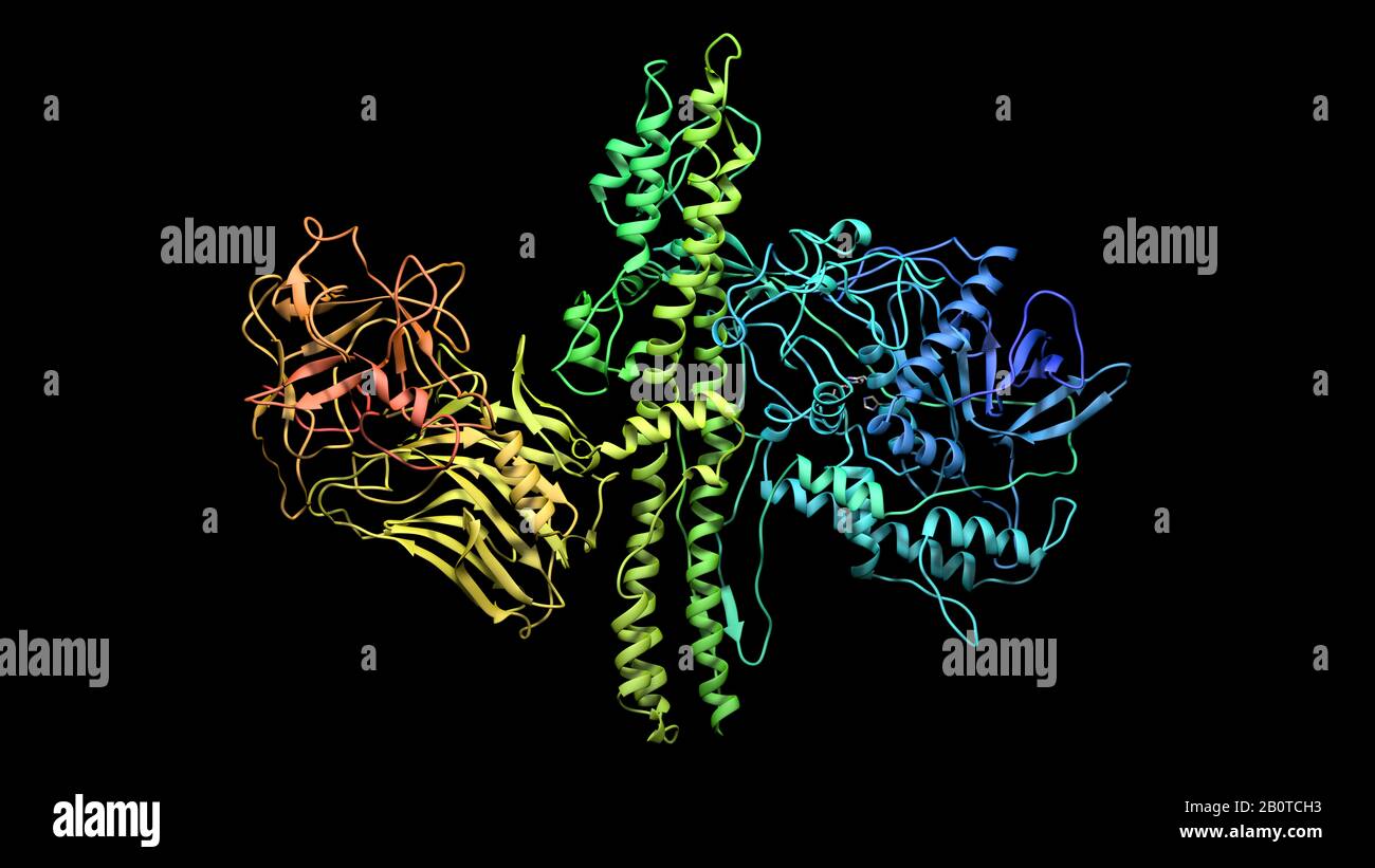 Botulinum molecule ribbon representation 3d rendering Stock Photo - Alamy