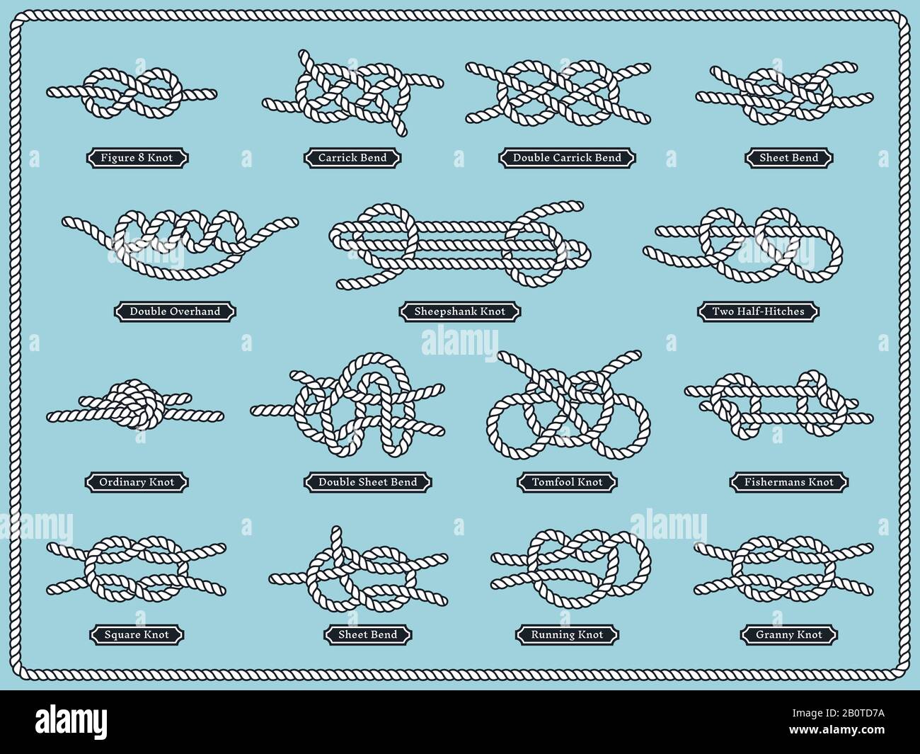 Illustration of bowline knot hi-res stock photography and images