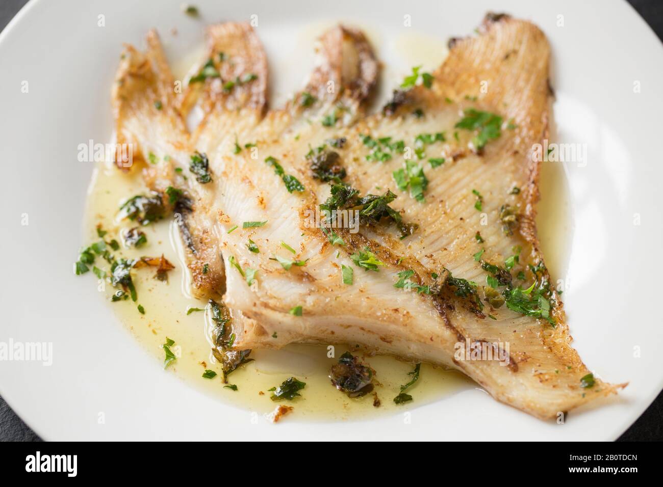 Ray Fish Cooked A ray wing from a thornback ray, Raja clavata, that has been cooked in ...