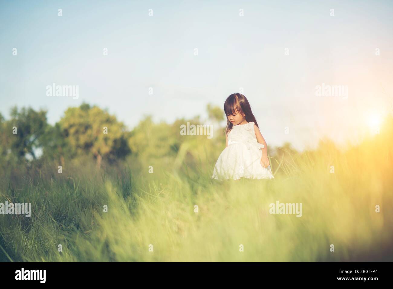 Happy little girl standing in the meadow Stock Photo - Alamy
