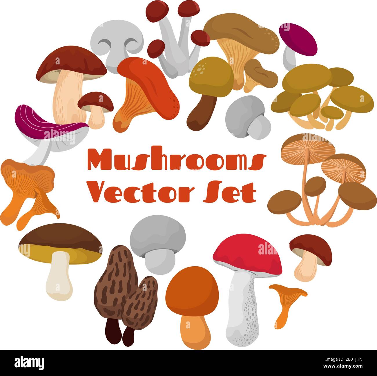 Delicacies fresh edible mushrooms vector set. Mushrooms of collection in round form illustration Stock Vector
