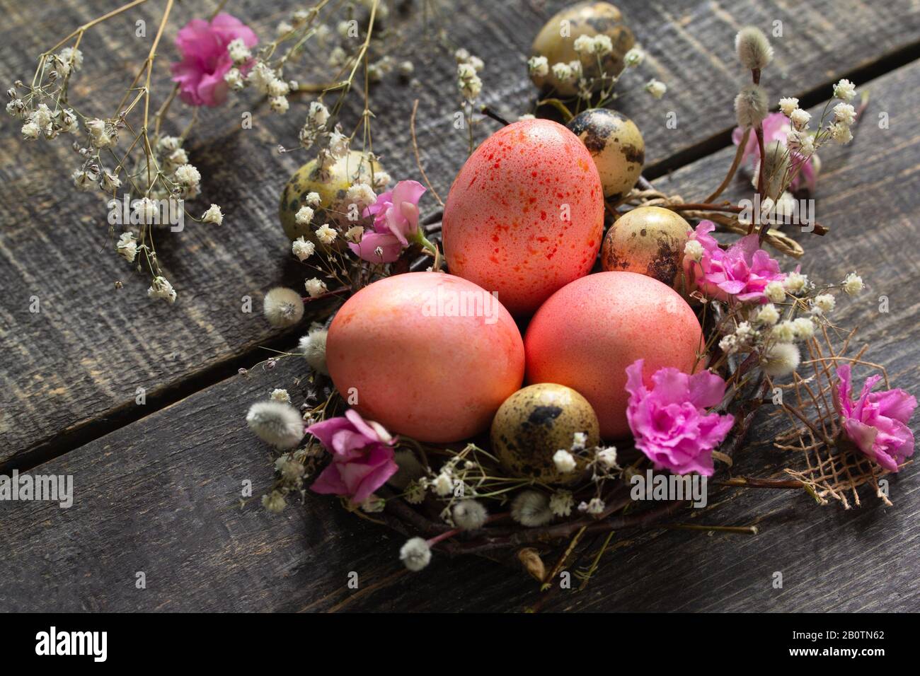 Easter background with  Pink handmade Easter eggs and spring flowers. Stock Photo