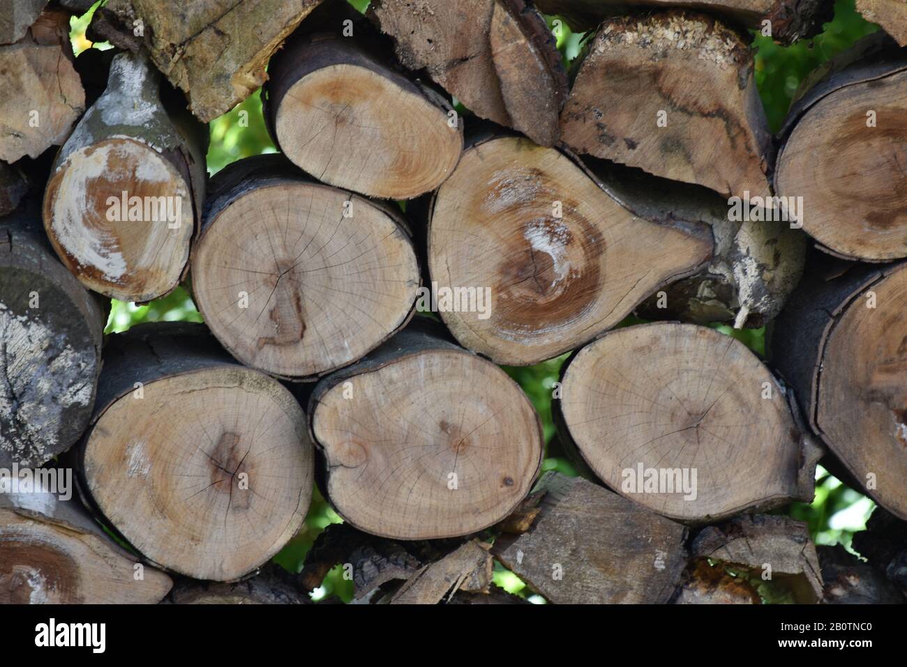 Cut wooden logs piled in rustic outdoor arrangement Stock Photo