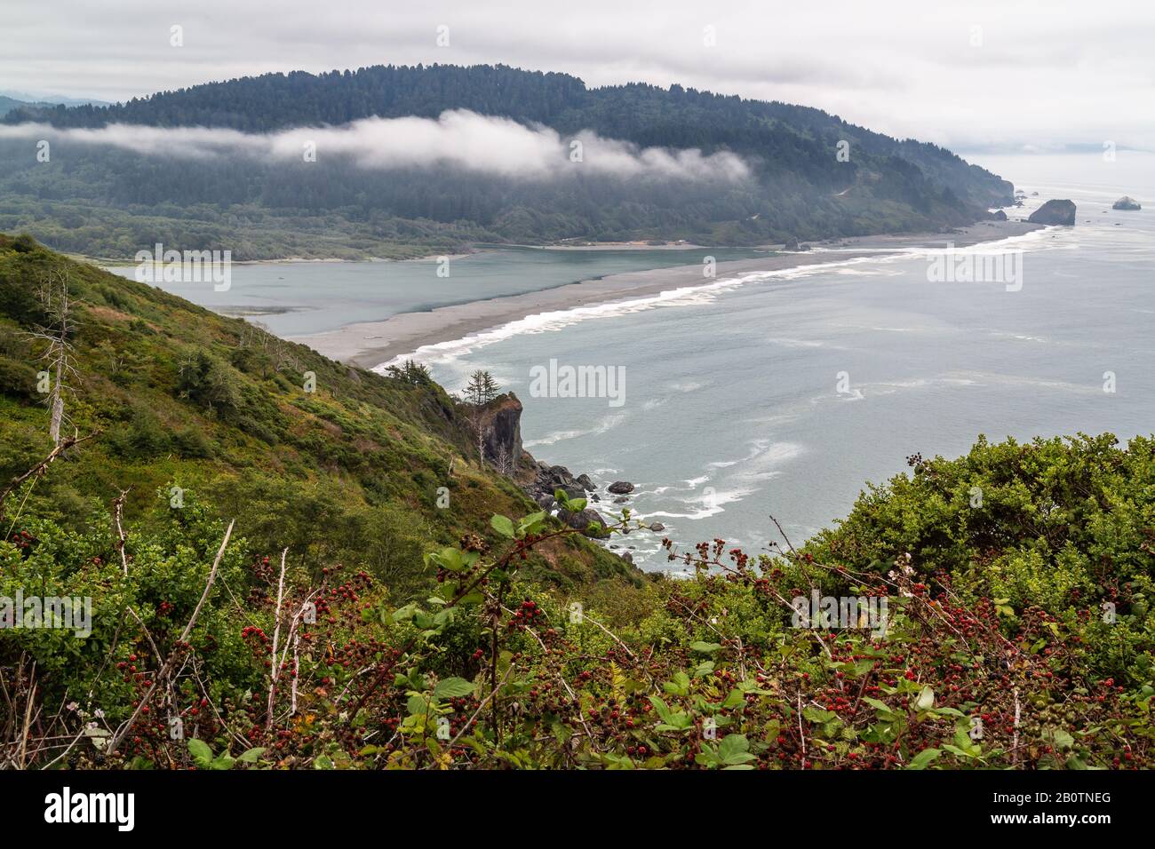 Hiking high amongst the berries, vista overlook where the Pacific Ocean meets the Klamath River in Northern California. Stock Photo